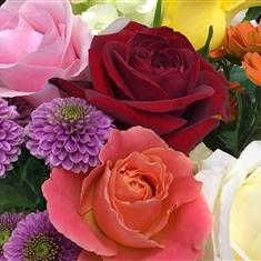 Florist Choice Petite  Hand-tied 