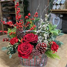 Berry Merry Christmas 