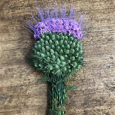 Thistle Tribute