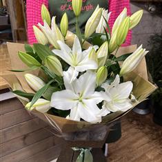  White Lily Handtied