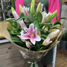 Pink Lily Handtied