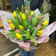 Easter Pink and yellow Tulips 