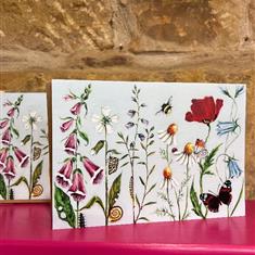 Poppy and Butterflys