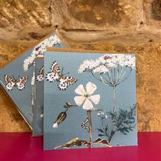 Cowslip and Butterfly